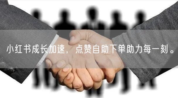 小红书成长加速，点赞自助下单助力每一刻。