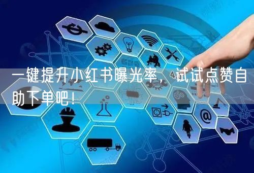 一键提升小红书曝光率，试试点赞自助下单吧！