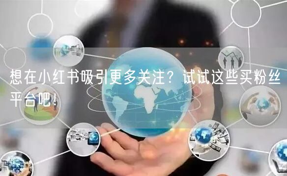 想在小红书吸引更多关注？试试这些买粉丝平台吧！