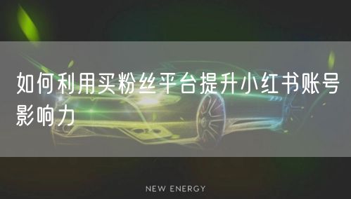 如何利用买粉丝平台提升小红书账号影响力