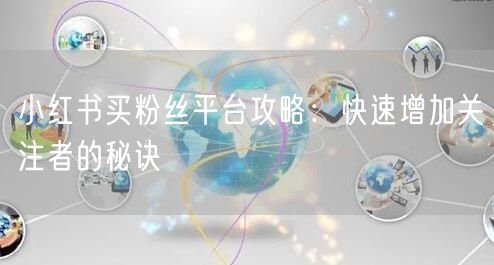 小红书买粉丝平台攻略：快速增加关注者的秘诀