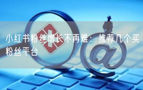 小红书粉丝增长不再难：推荐几个买粉丝平台