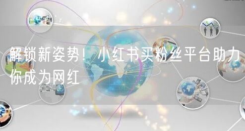 解锁新姿势！小红书买粉丝平台助力你成为网红