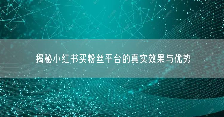 揭秘小红书买粉丝平台的真实效果与优势