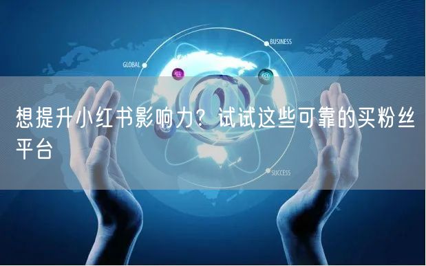 想提升小红书影响力？试试这些可靠的买粉丝平台