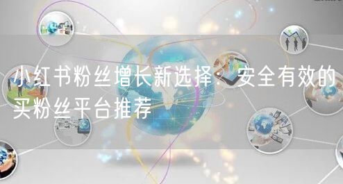 小红书粉丝增长新选择：安全有效的买粉丝平台推荐