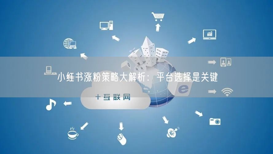 小红书涨粉策略大解析：平台选择是关键