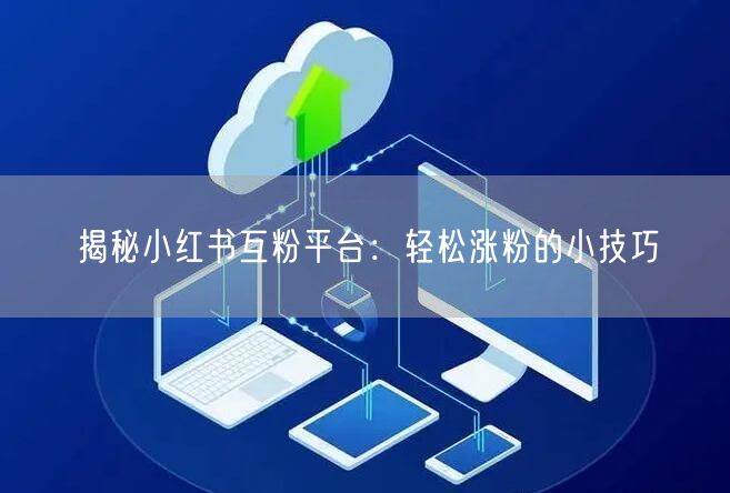 揭秘小红书互粉平台：轻松涨粉的小技巧