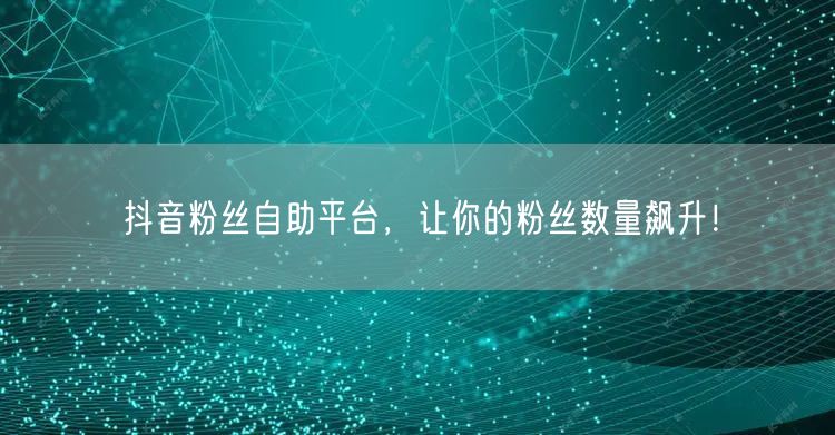 抖音粉丝自助平台，让你的粉丝数量飙升！