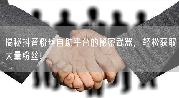 揭秘抖音粉丝自助平台的秘密武器，轻松获取大量粉丝！