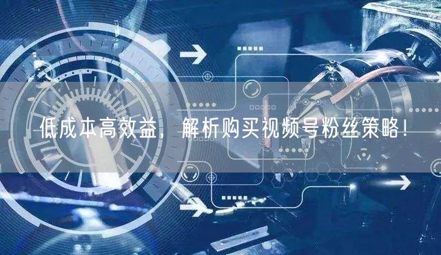低成本高效益，解析购买视频号粉丝策略！
