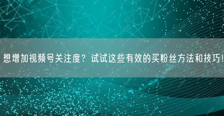 想增加视频号关注度？试试这些有效的买粉丝方法和技巧！