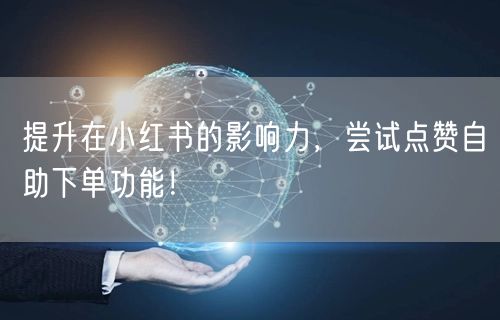 提升在小红书的影响力，尝试点赞自助下单功能！