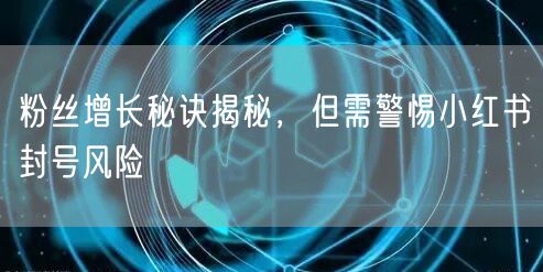 粉丝增长秘诀揭秘，但需警惕小红书封号风险
