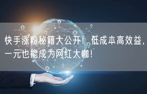 快手涨粉秘籍大公开！低成本高效益，一元也能成为网红大咖！