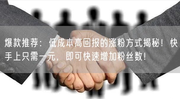 爆款推荐：低成本高回报的涨粉方式揭秘！快手上只需一元，即可快速增加粉丝数！