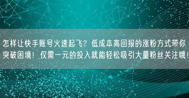 怎样让快手账号火速起飞？低成本高回报的涨粉方式带你突破困境！仅需一元的投入就能轻