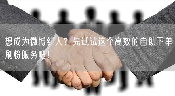 想成为微博红人？先试试这个高效的自助下单刷粉服务吧！