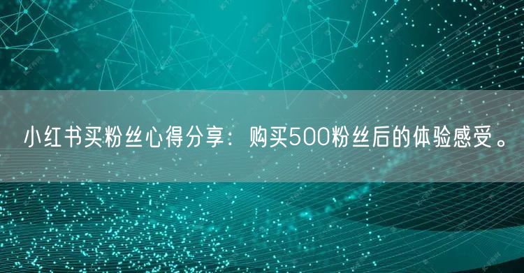小红书买粉丝心得分享：购买500粉丝后的体验感受。