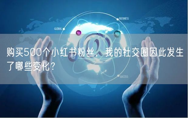 购买500个小红书粉丝，我的社交圈因此发生了哪些变化？