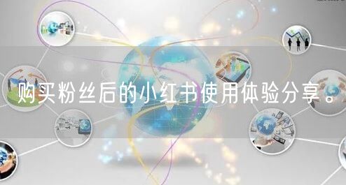 购买粉丝后的小红书使用体验分享。