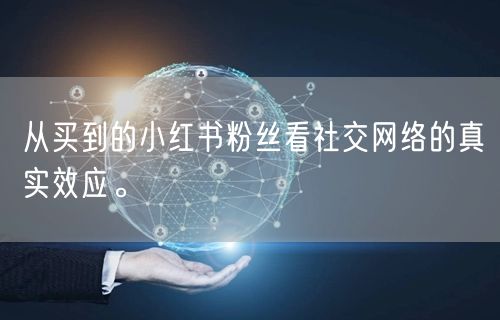 从买到的小红书粉丝看社交网络的真实效应。