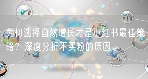 为何选择自然增长才是小红书最佳策略？深度分析不买粉的原因。