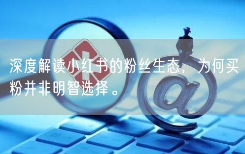 深度解读小红书的粉丝生态，为何买粉并非明智选择。